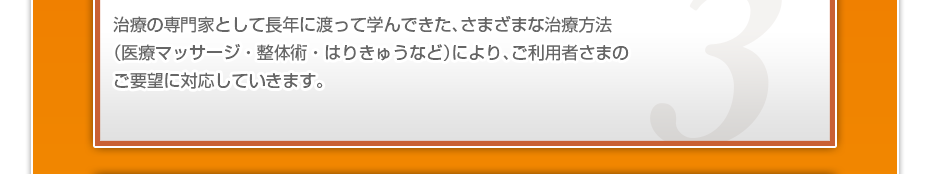 治療の専門家として長年に渡って学んできた、さまざまな治療方法(医療マッサージ・整体術・はりきゅうなど)により、ご利用者さまのご要望に対応していきます。